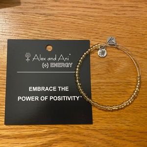 Embrace the Power of Positivity Alex and Ani